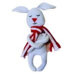 Imagen anterior del producto